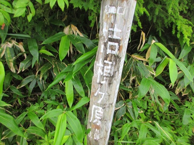 平湯尾根の登山口と道標