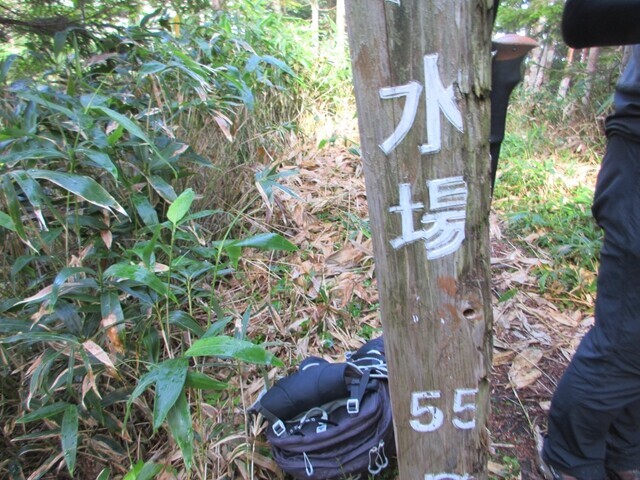 平湯尾根の水場