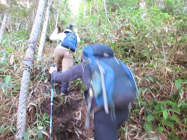水場から先も平湯尾根は急登