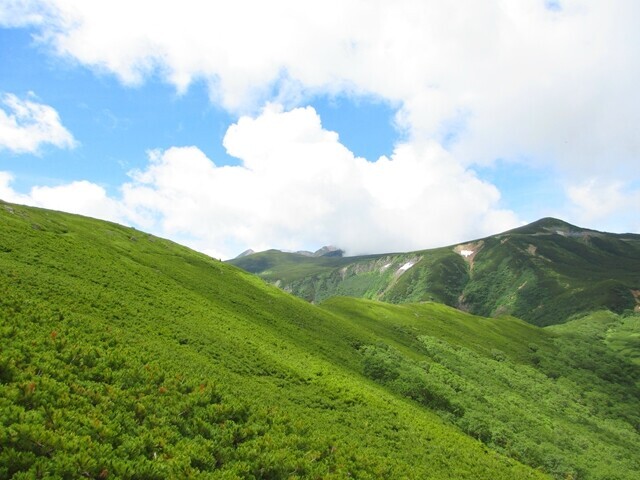 平湯尾根から見る乗鞍の景色