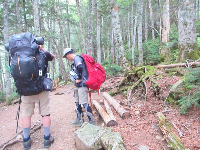 広河原山荘から白根御池小屋の登山ルート水平道の様子