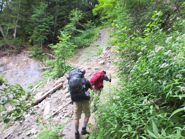 白根御池小屋近くの登山コースの状況