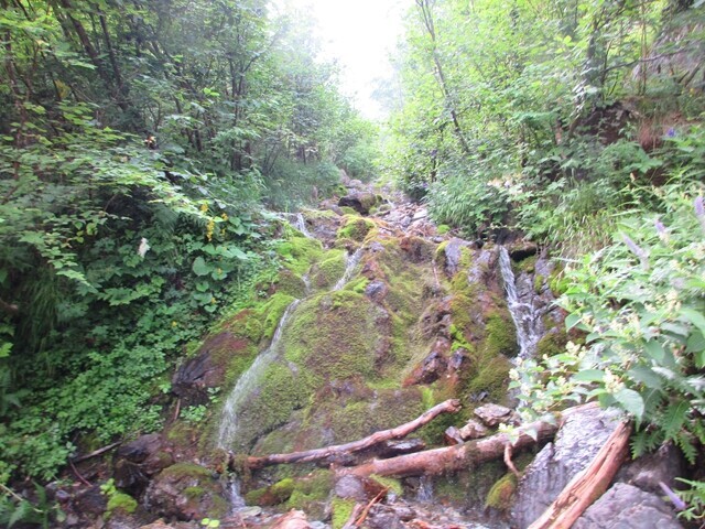 白根御池小屋近くの沢水の様子