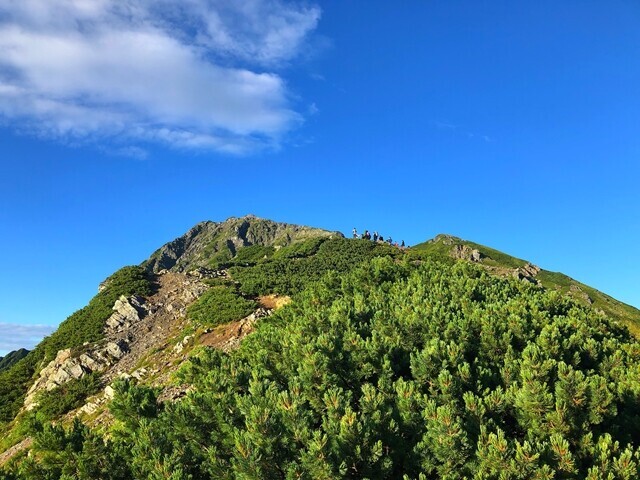 振り返っての北岳と小太郎山分岐