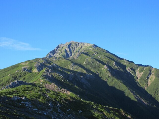 小太郎山登山道から振り返っての北岳の全景