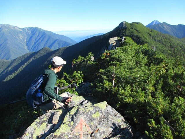 小太郎山の登山ルートのペンキマークやピンクテープ