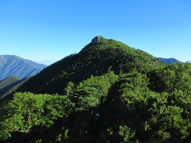 小太郎山の登山ルート藪道