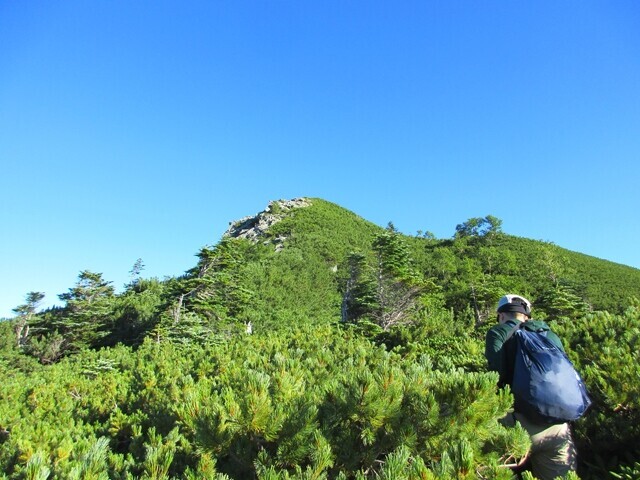 前小太郎山の手前の景色