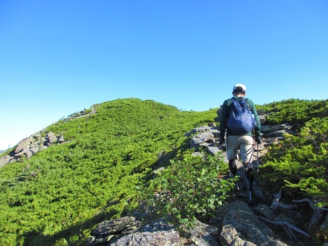 小太郎山山頂直下の景色