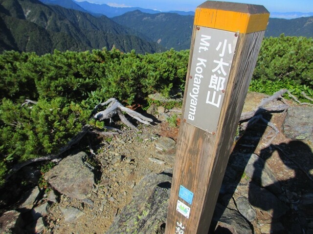 山梨百名山小太郎山