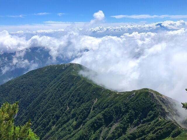 北岳から延びる八本歯方面の景色