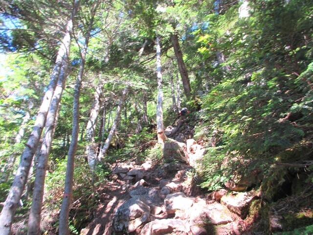 大門沢降下点から大門沢小屋までの登山ルート様子
