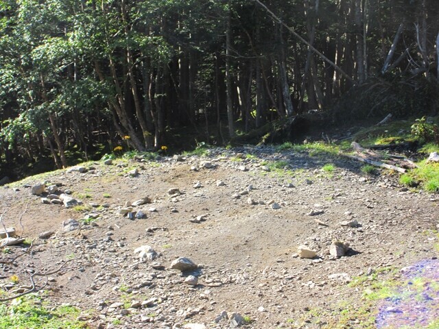 熊の平小屋のテント場の様子