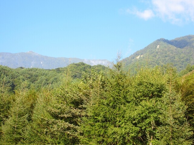 鳳凰三山の景色