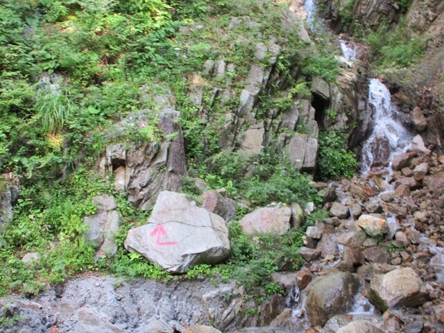 ドンドコ沢ルートの登山道