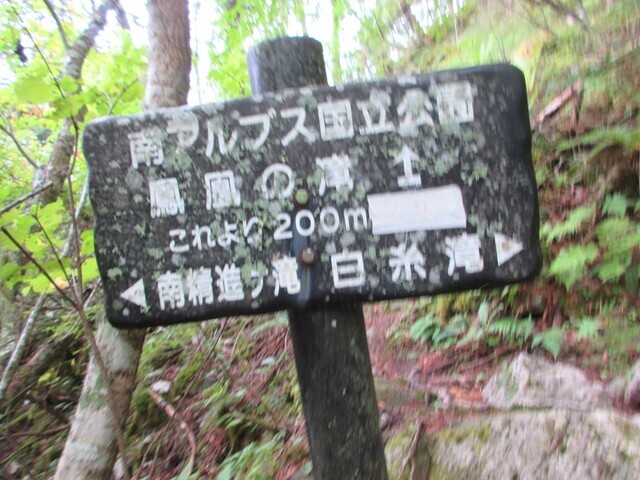 鳳凰の滝への分岐