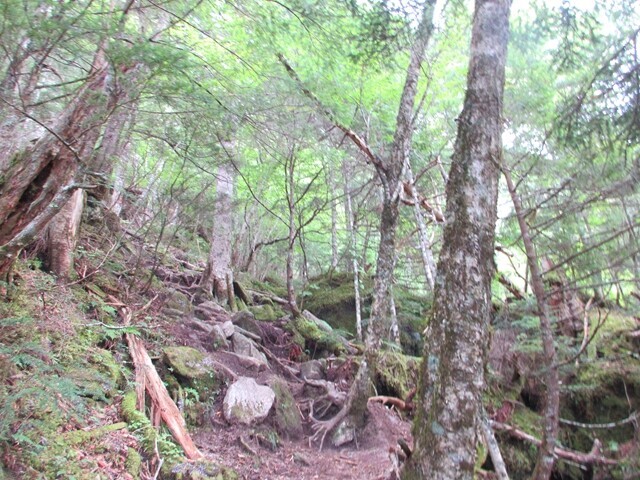 五色の滝へのドンドコ沢ルート