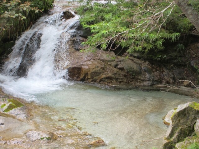 五色の滝周辺の沢