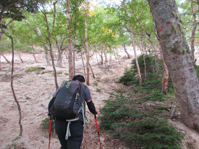 鳳凰三山地蔵岳へ一緒に登った登山者