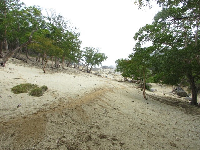 鳳凰三山地蔵岳への急登の様子