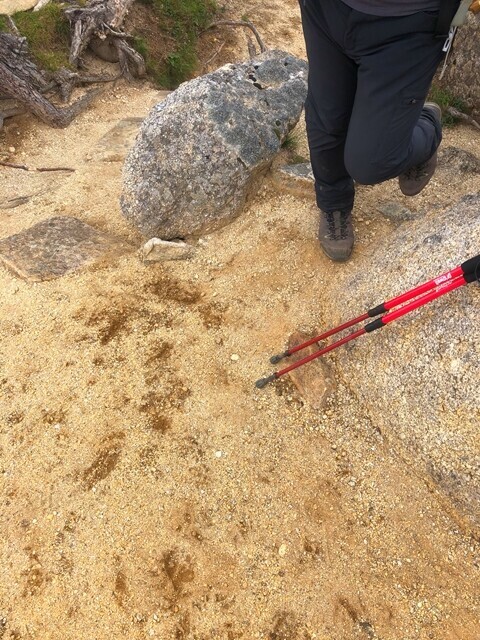 青木鉱泉から鳳凰三山の頂上付近の様子