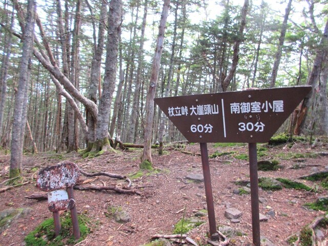 南御室小屋から大ナジカ峠を目指して進んでいくと分岐がある