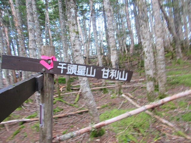 ナジカ峠丸沢バリエーションルートは千頭星山・甘利山方面に進む