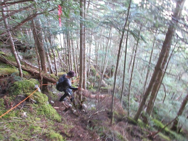 大ナジカ峠まで急降下な登山道の様子