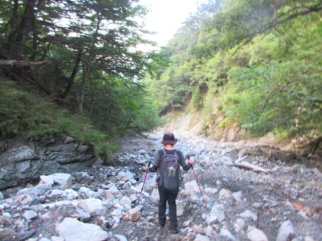 丸沢上部は水量も少なく歩き易い