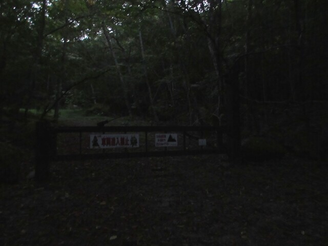 ナイトハイクで青木鉱泉目指している様子