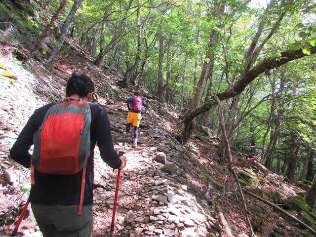 大日岩を目指して登山している様子