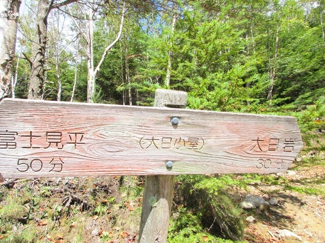 大日小屋から目指す大日岩までコースタイム３０分