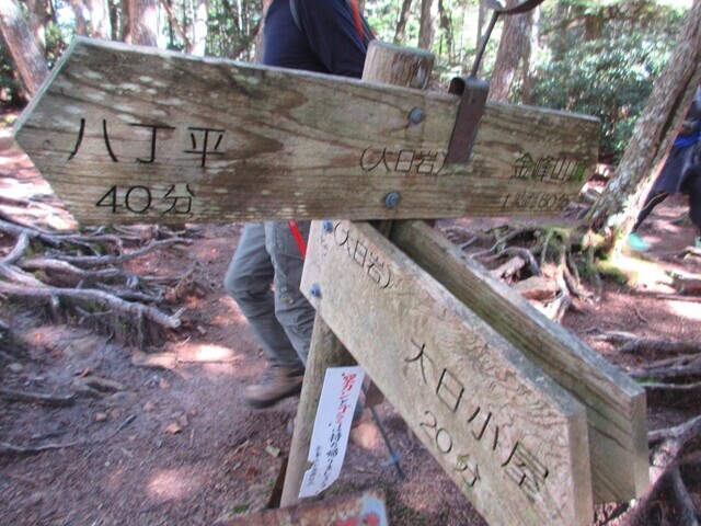 大日岩、金峰山への分岐