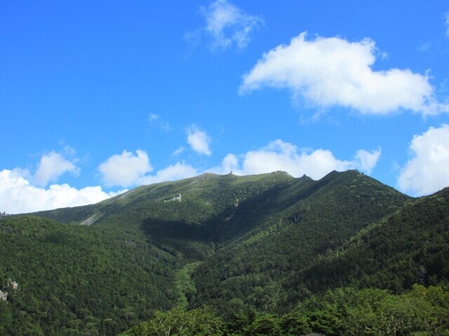 大日岩ペンキ塗りの登山道の印