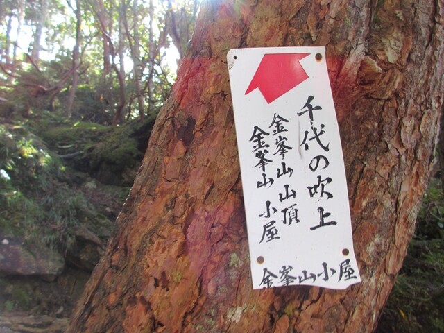 金峰山登山ルート上の千代の吹上