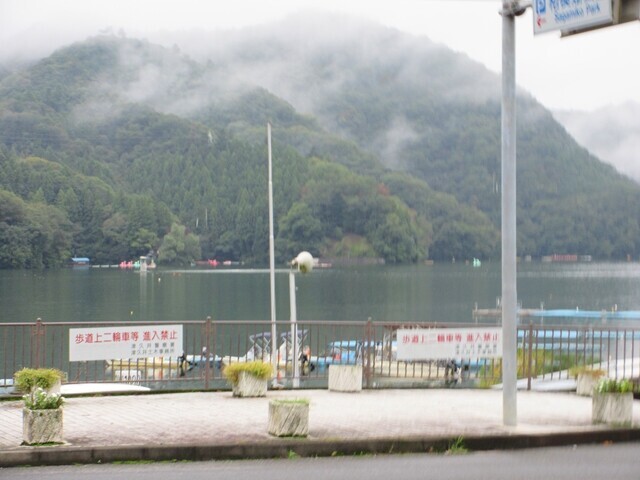 相模湖の様子