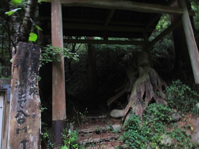 七ツ淵のハイキングコース