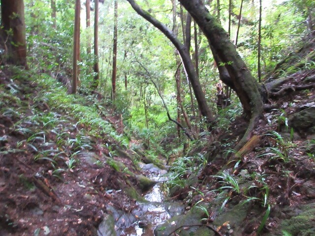 七ツ淵に到着の様子