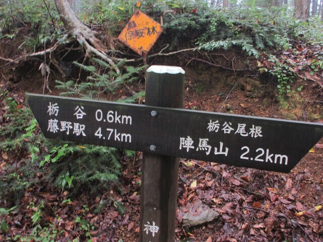栃谷尾根の下山の様子