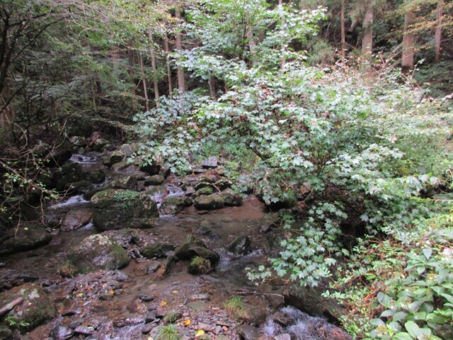 奈良本峠への登山口から沢沿い歩き