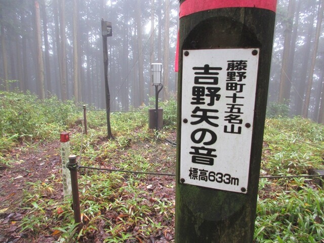 矢の音