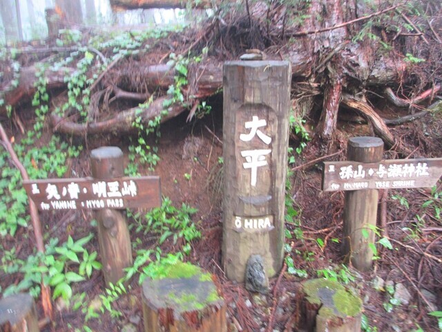 太平経由で小原の郷へ下山の様子