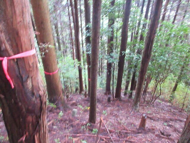 小原の郷のハイキングコース