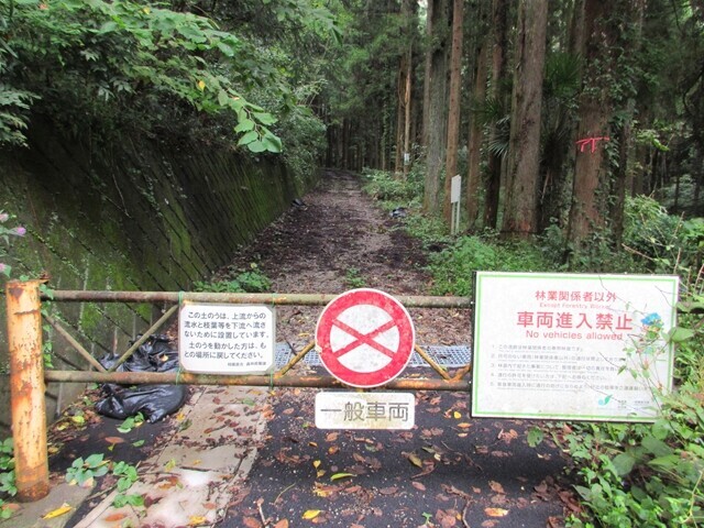 小原の郷近くの林道