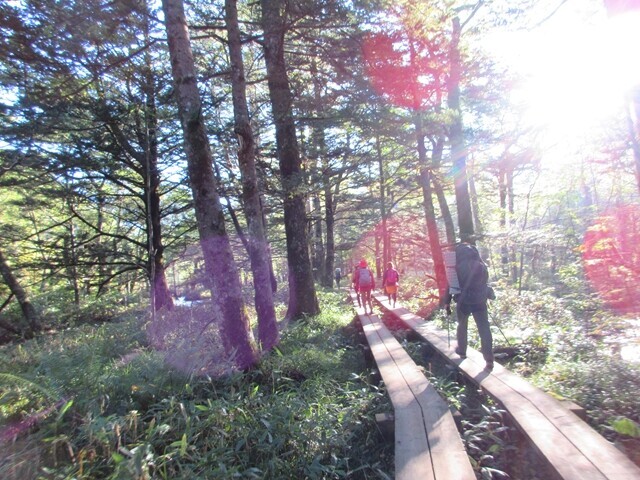 河童橋から沢沿いを歩いて明神橋、徳澤園を目指して登山スタートの様子