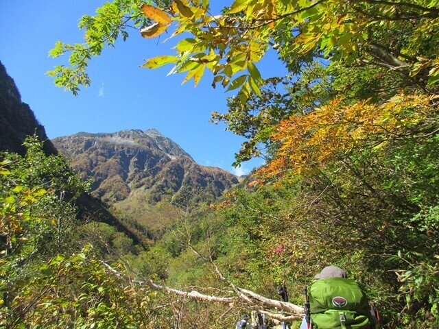 本谷橋への登山道から北穂高岳を遠望