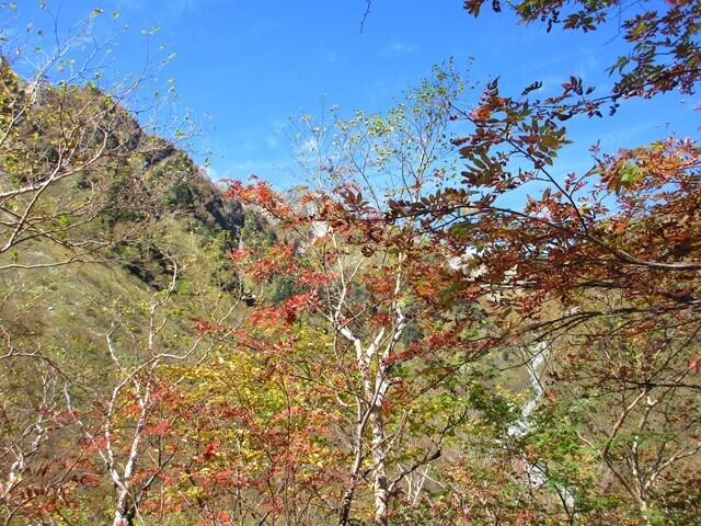 涸沢の紅葉色づき具合