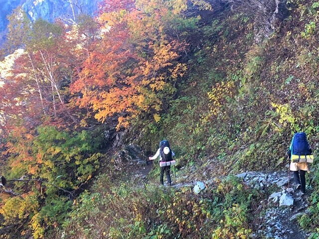 パノラマコースの紅葉を見ながら登山の様子