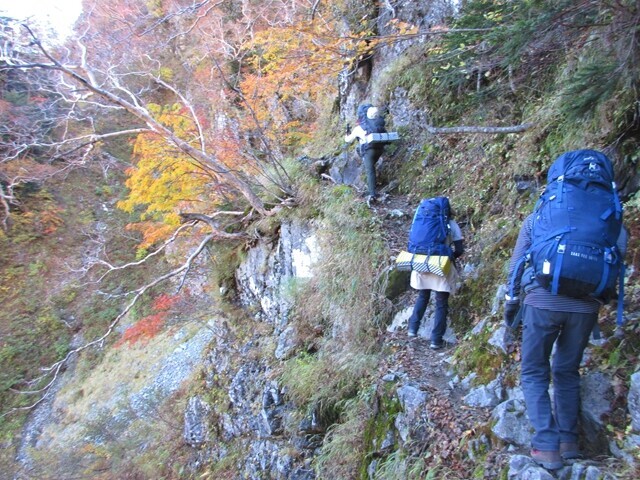 パノラマコースは道幅が狭く非常に危ない箇所が多い