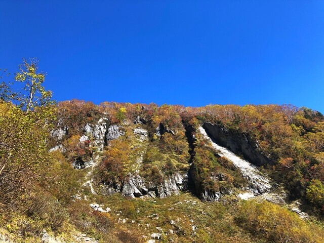 パノラマコースを振り返っての屛風の頭の景色